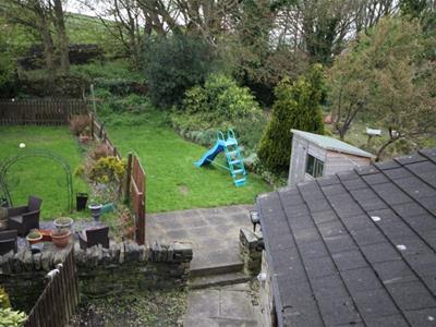 Picture 7